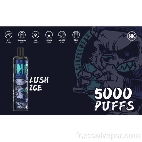 Russie stylo vape jetable chaud 5000 bouffées